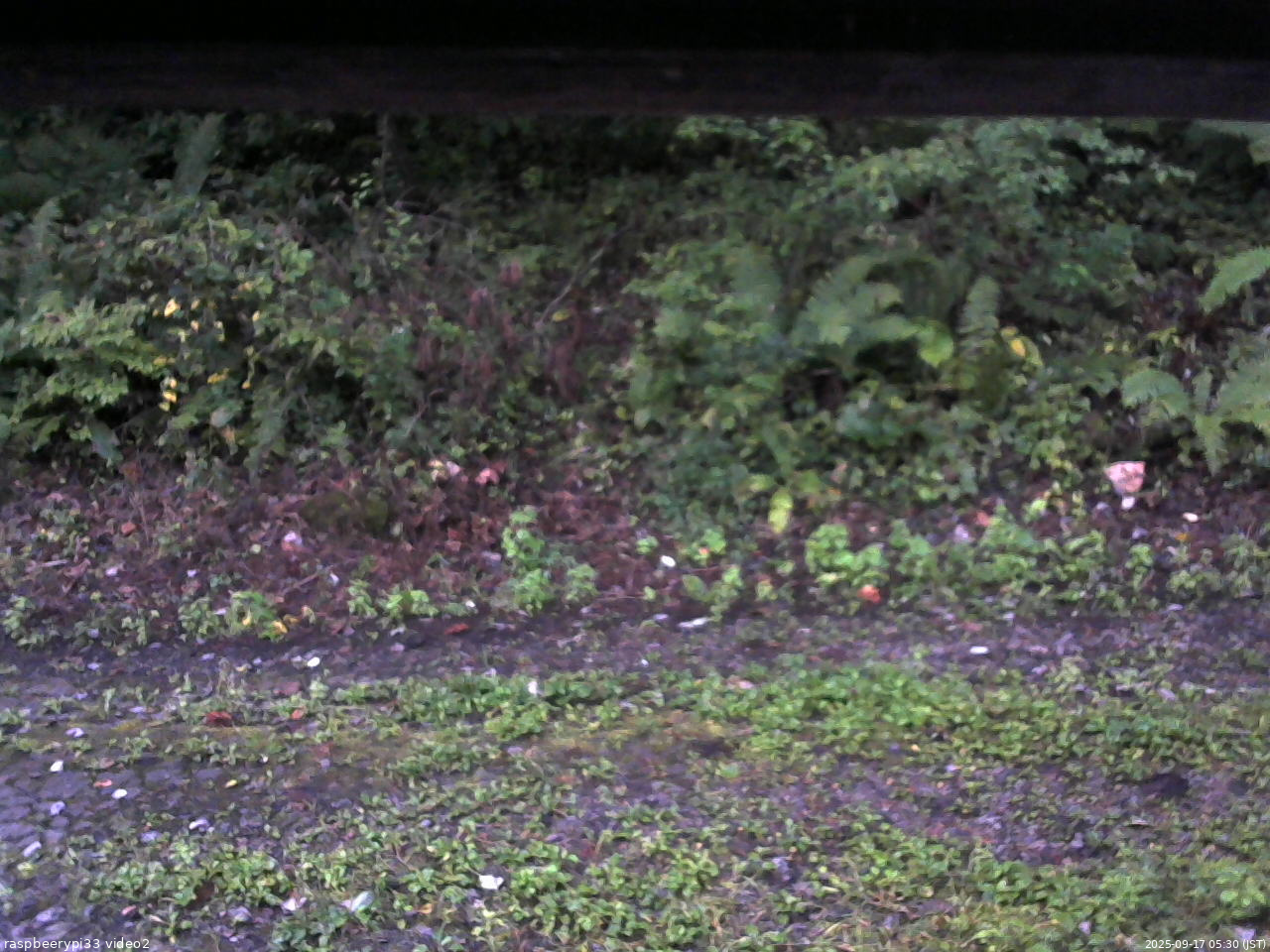 長野県菅平高原 ゆたか山荘 南側 2025/09/17 05:30