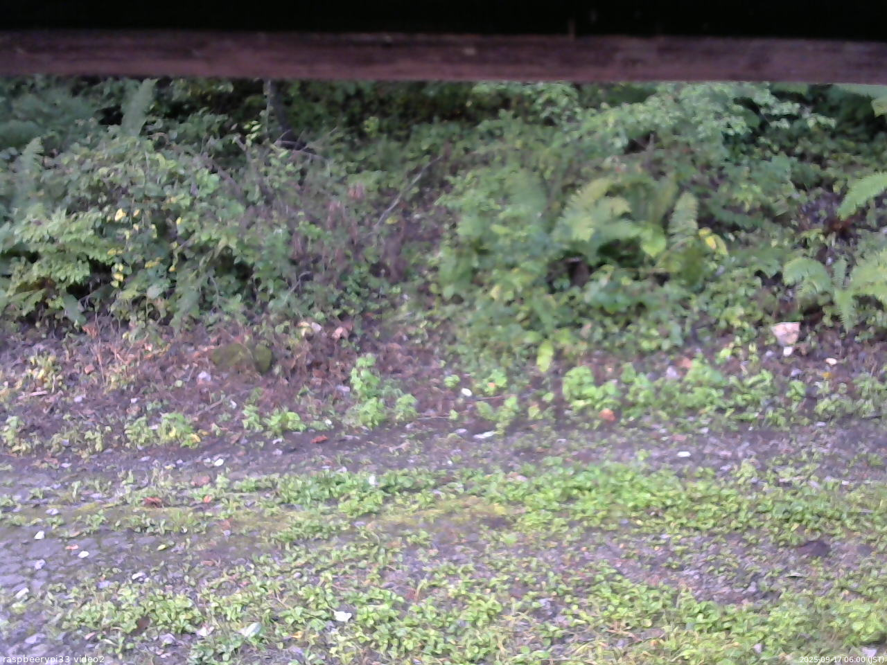 長野県菅平高原 ゆたか山荘 南側 2025/09/17 06:00
