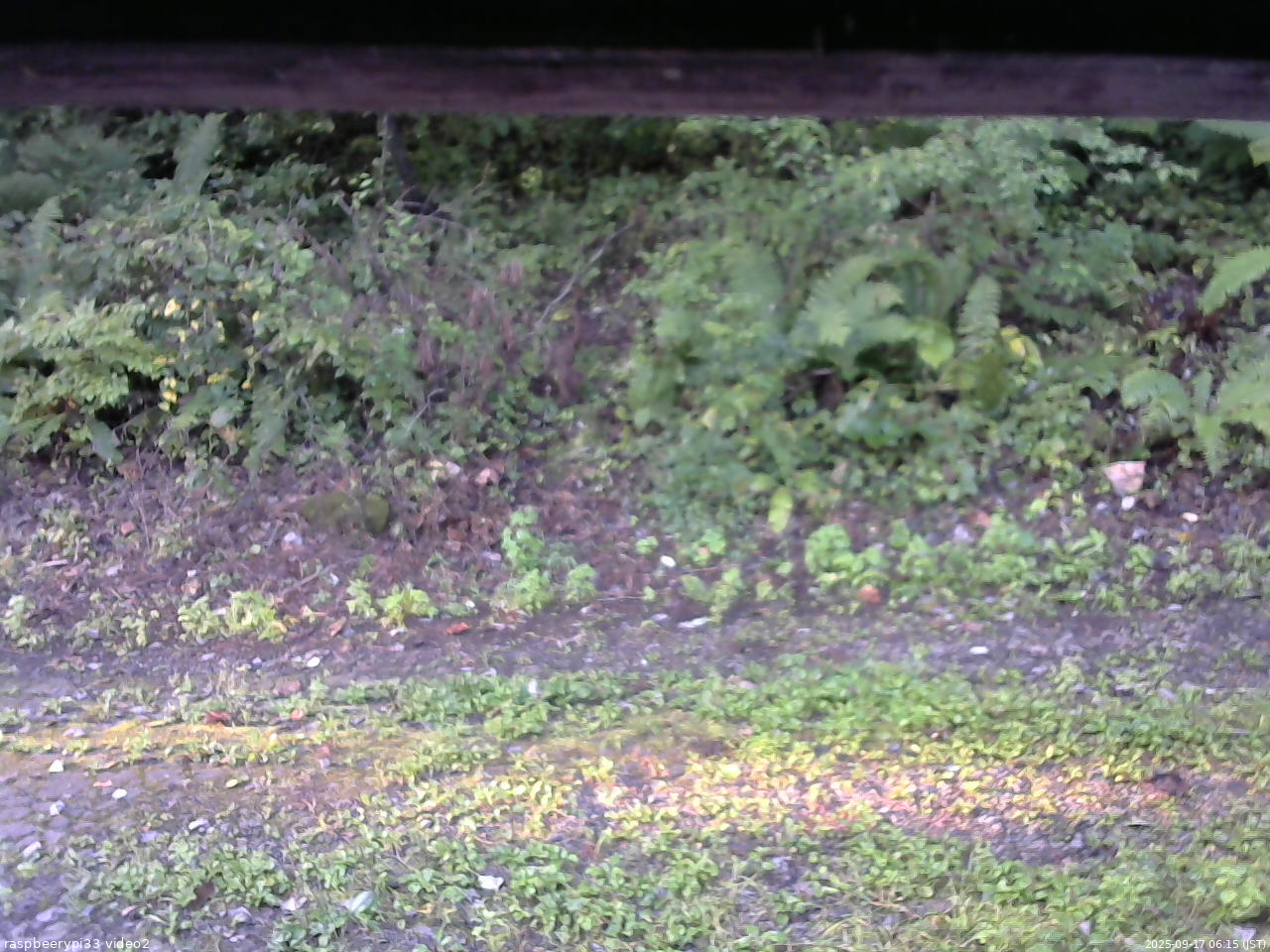 長野県菅平高原 ゆたか山荘 南側 2025/09/17 06:15