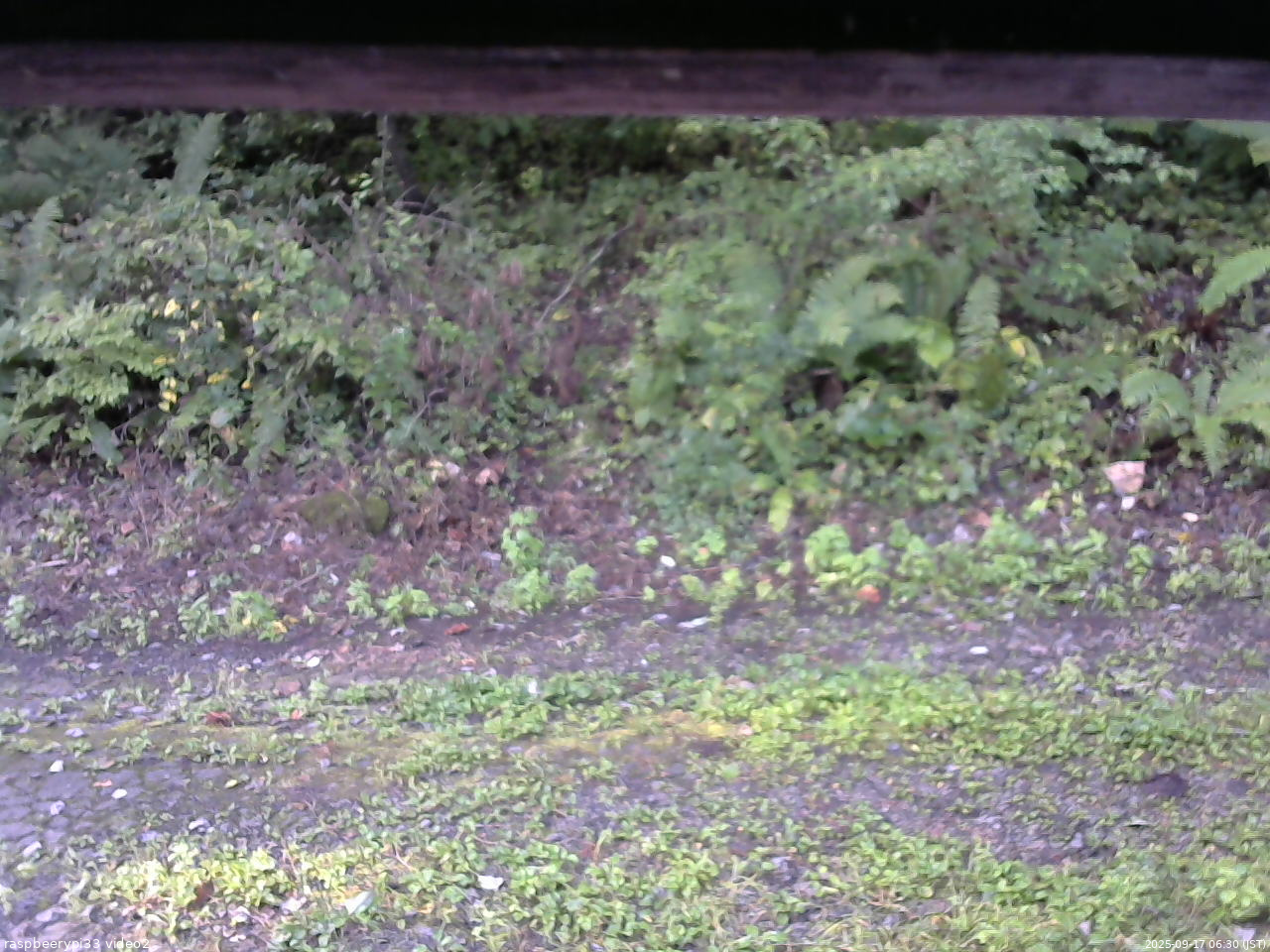 長野県菅平高原 ゆたか山荘 南側 2025/09/17 06:30