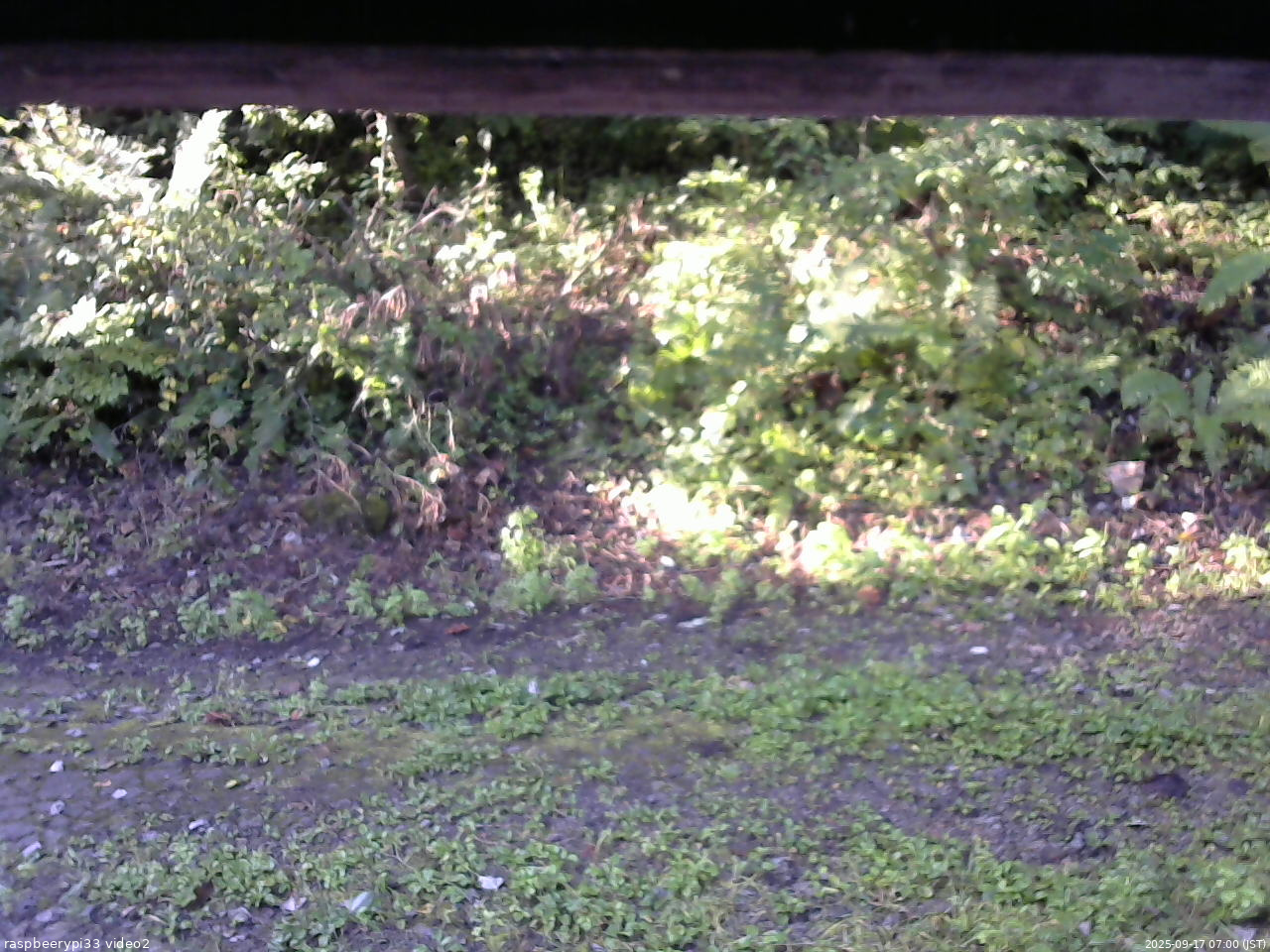 長野県菅平高原 ゆたか山荘 南側 2025/09/17 07:00