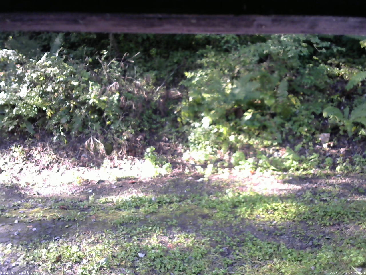 長野県菅平高原 ゆたか山荘 南側 2025/09/17 07:15