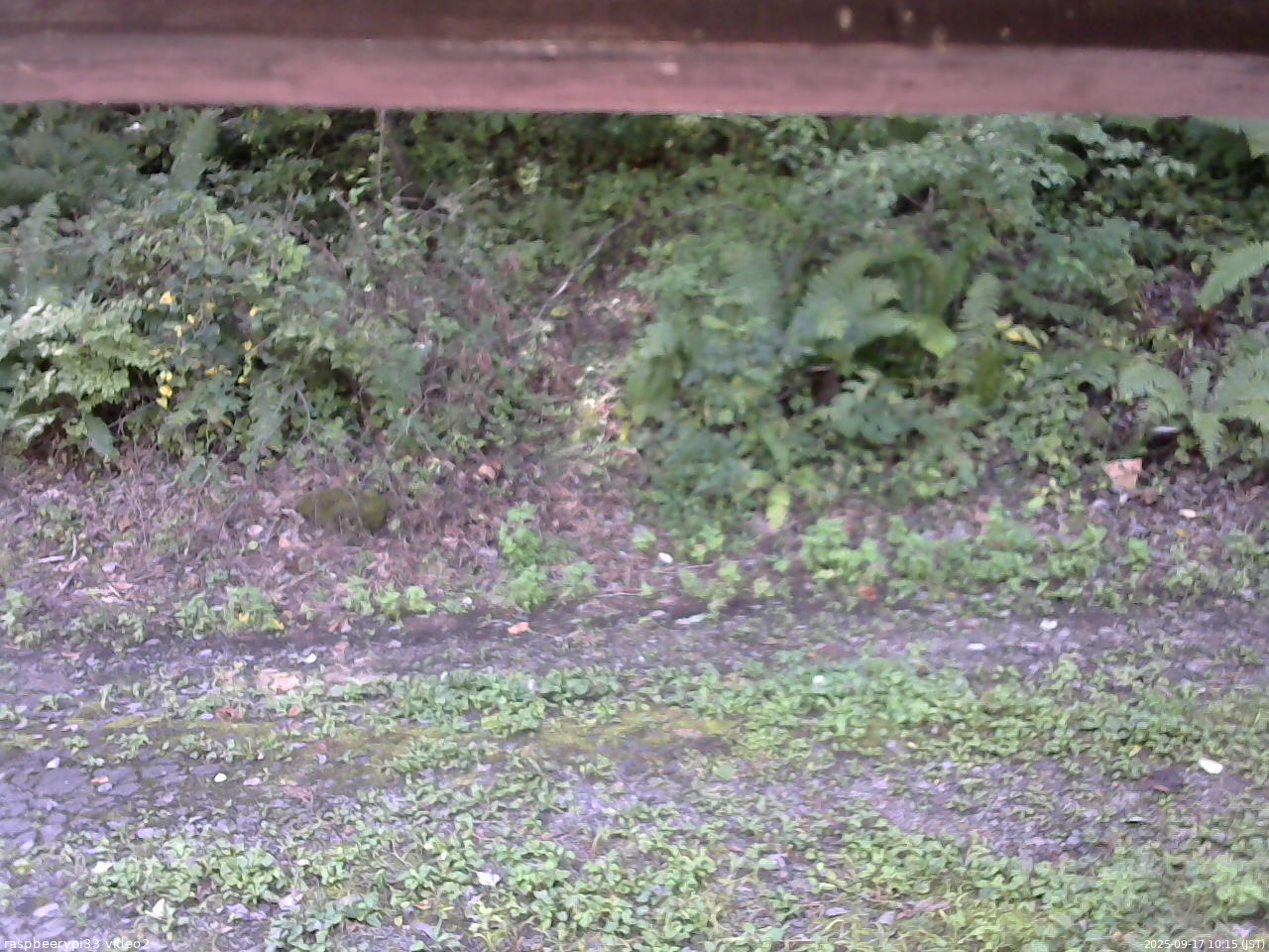 長野県菅平高原 ゆたか山荘 南側 2025/09/17 10:15