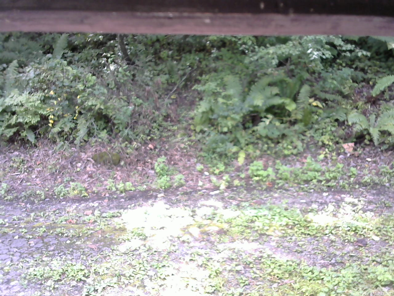 長野県菅平高原 ゆたか山荘 南側 2025/09/17 10:45