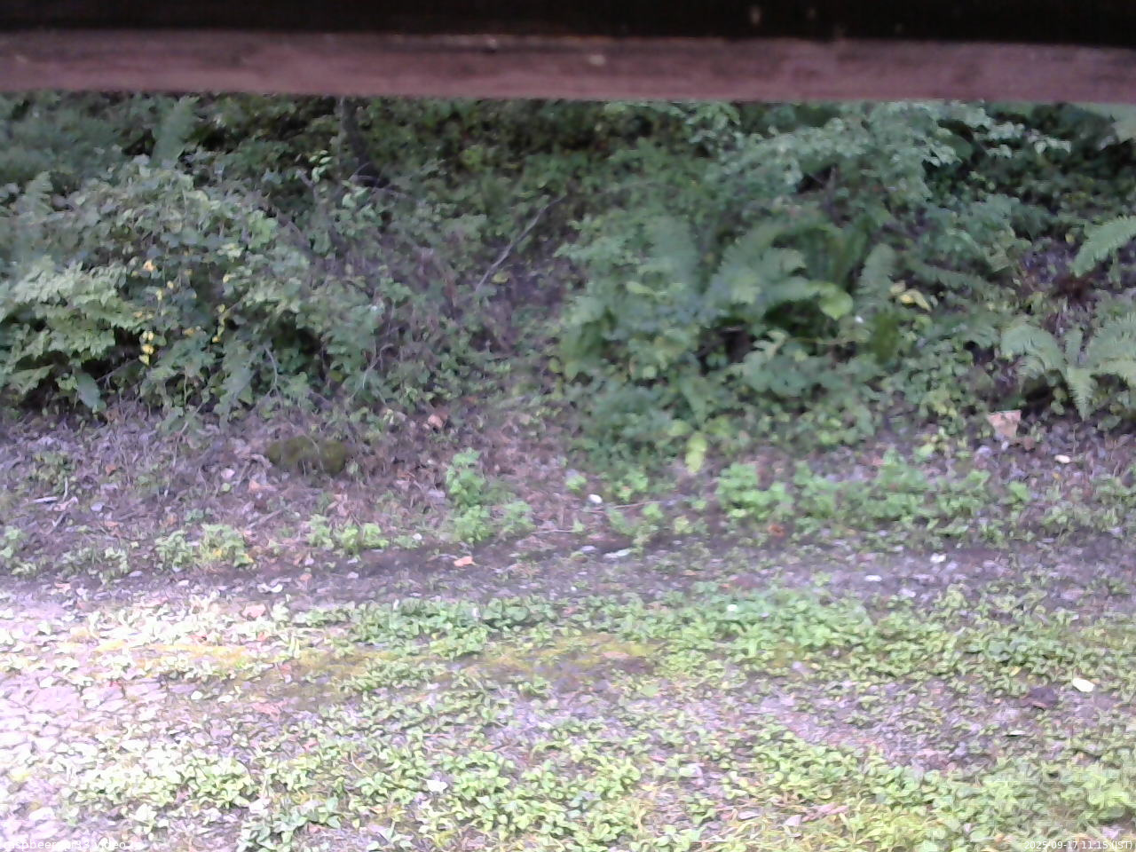 長野県菅平高原 ゆたか山荘 南側 2025/09/17 11:15