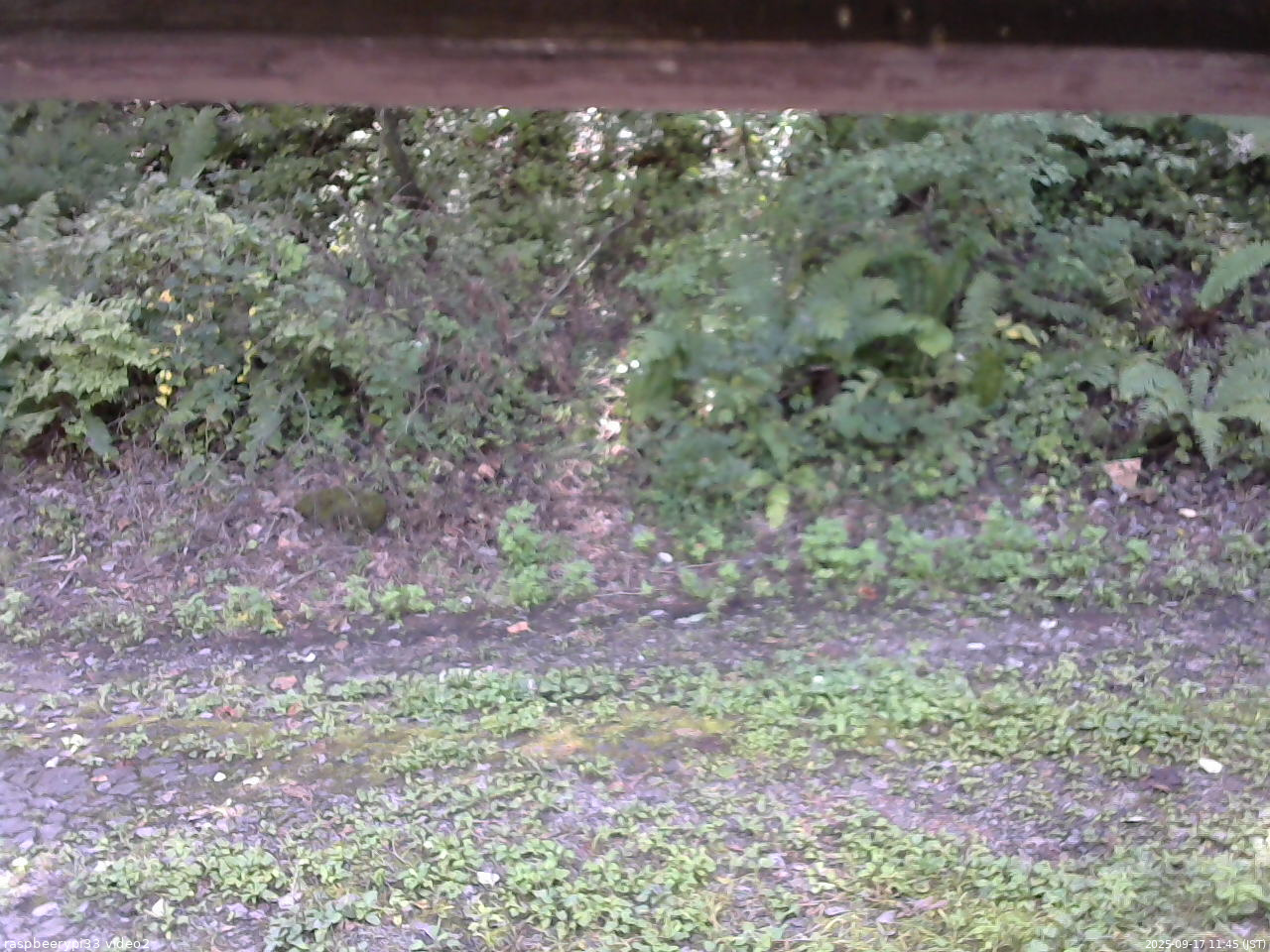 長野県菅平高原 ゆたか山荘 南側 2025/09/17 11:45