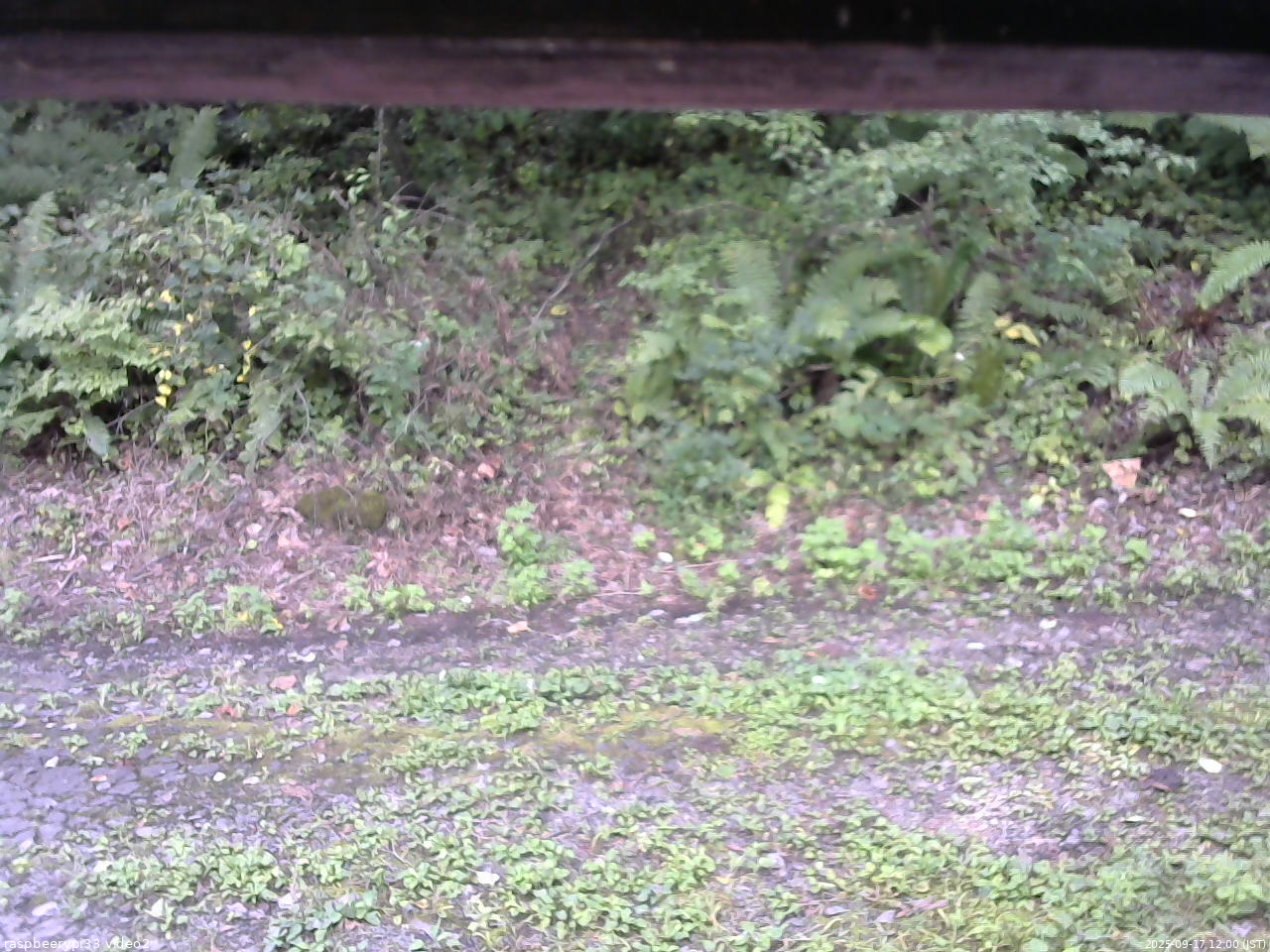 長野県菅平高原 ゆたか山荘 南側 2025/09/17 12:00