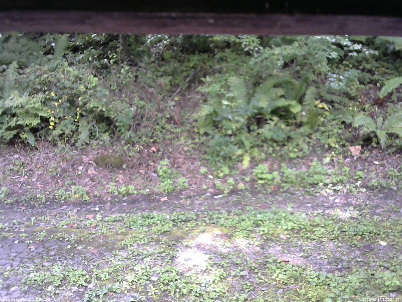 長野県菅平高原 ゆたか山荘 南側 2025/09/17 12:15