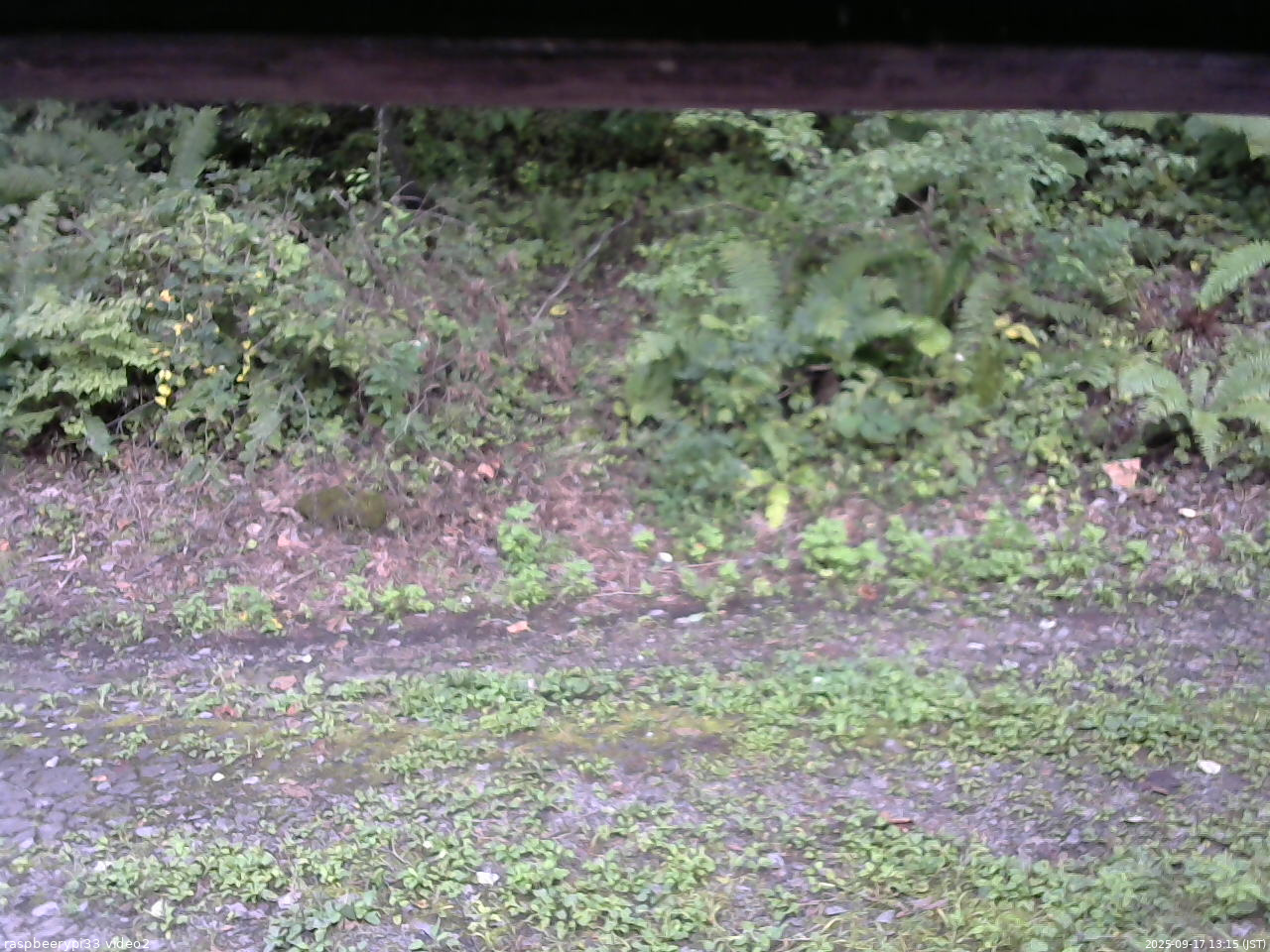 長野県菅平高原 ゆたか山荘 南側 2025/09/17 13:15