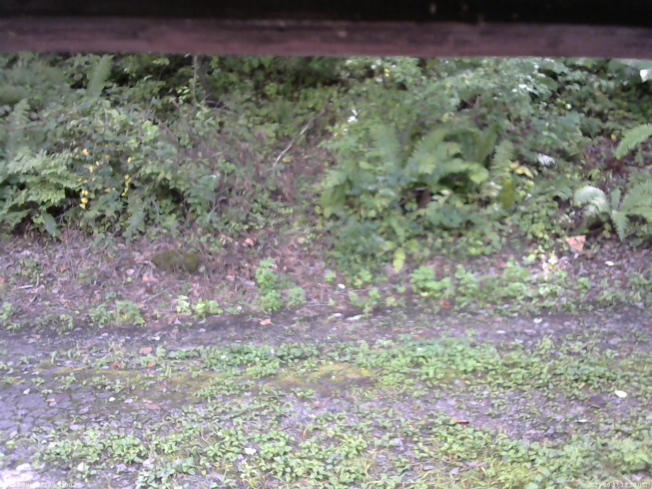 長野県菅平高原 ゆたか山荘 南側 2025/09/17 13:30