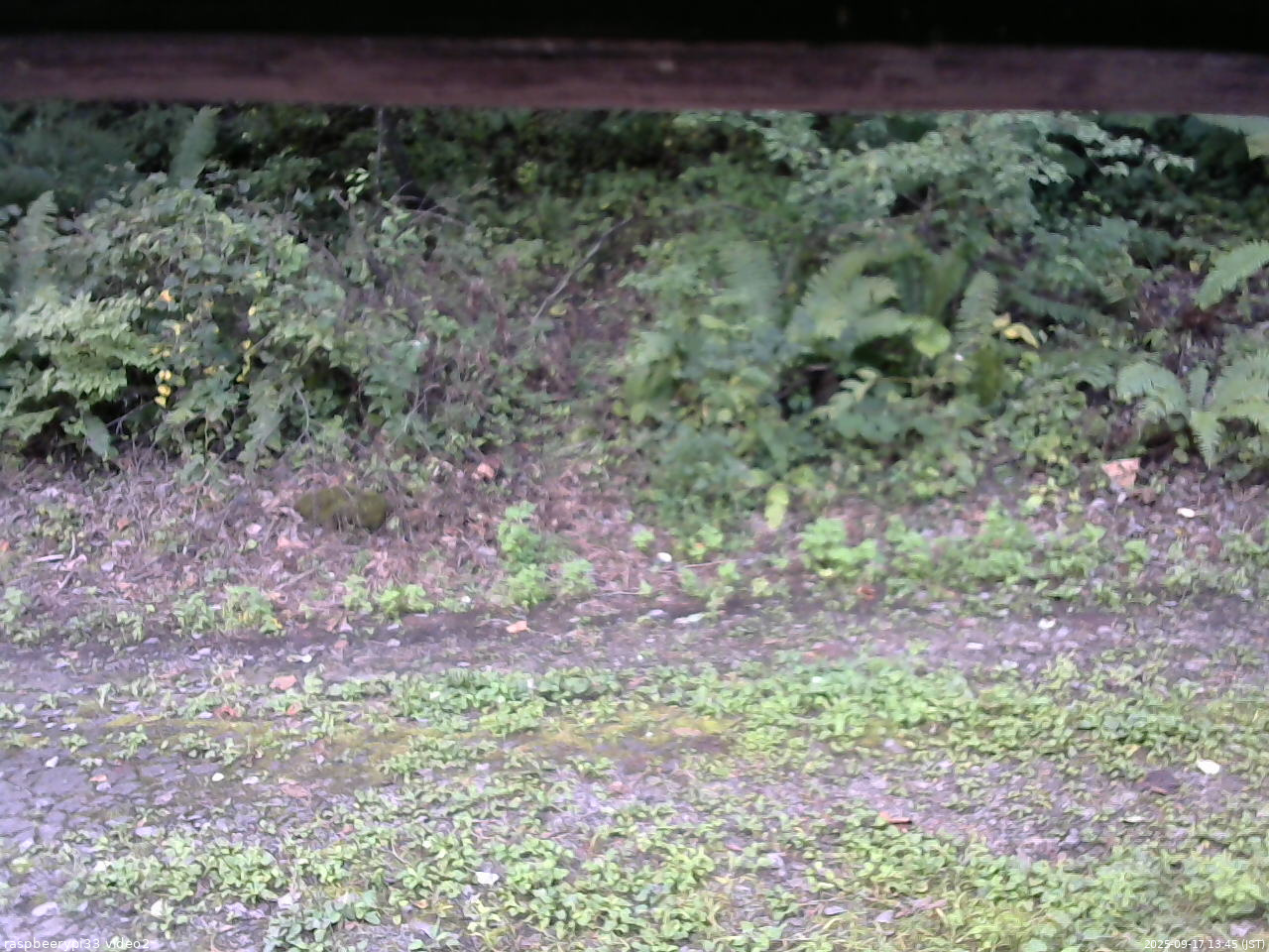 長野県菅平高原 ゆたか山荘 南側 2025/09/17 13:45