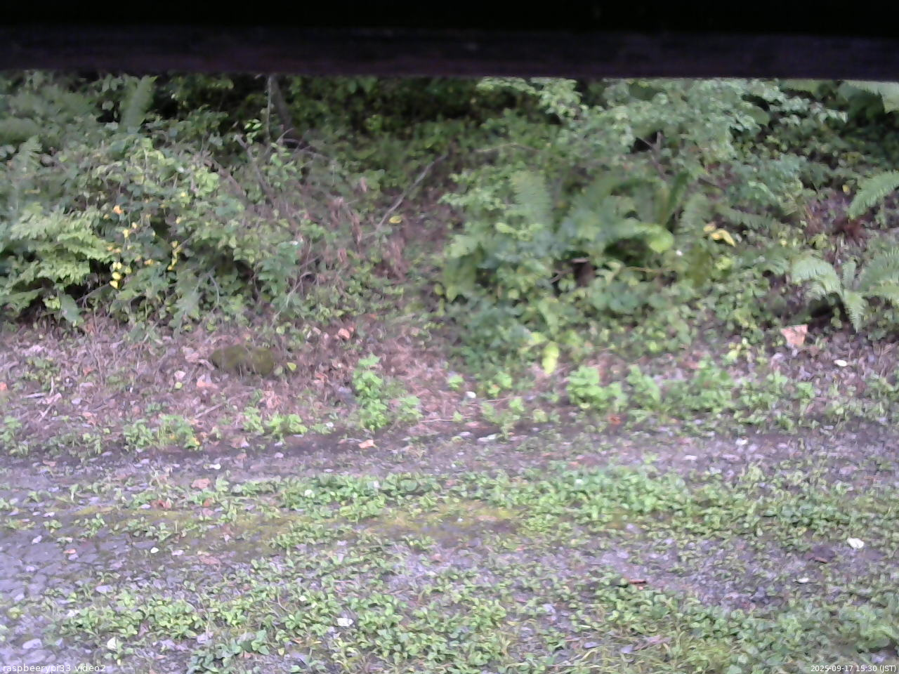 長野県菅平高原 ゆたか山荘 南側 2025/09/17 15:30