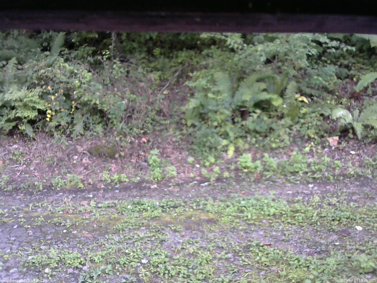 長野県菅平高原 ゆたか山荘 南側 2025/09/17 15:45