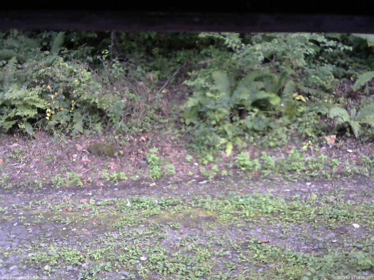 長野県菅平高原 ゆたか山荘 南側 2025/09/17 16:00