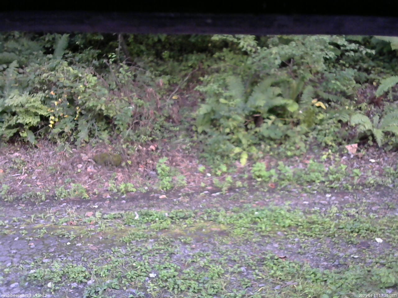 長野県菅平高原 ゆたか山荘 南側 2025/09/17 17:30