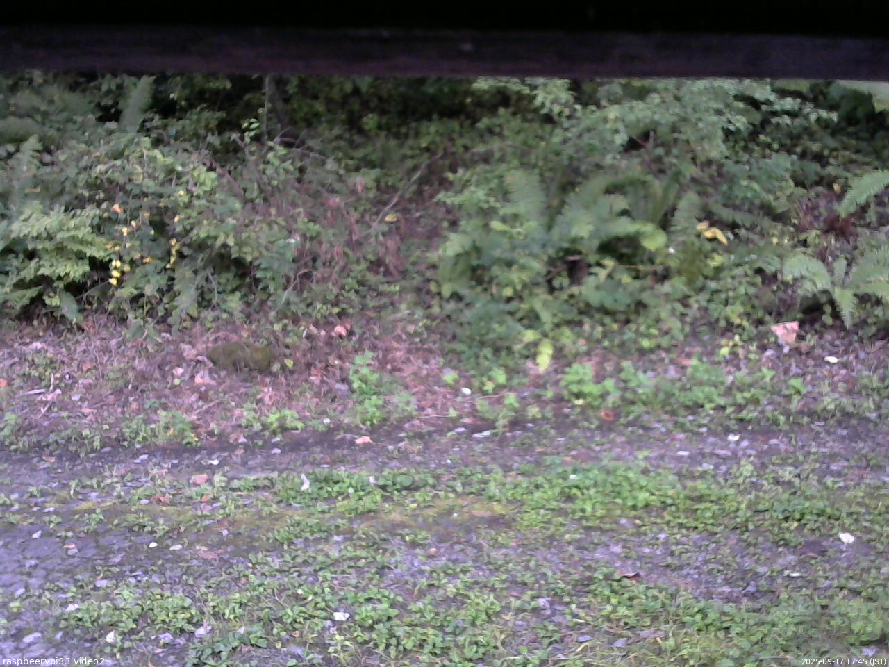 長野県菅平高原 ゆたか山荘 南側 2025/09/17 17:45