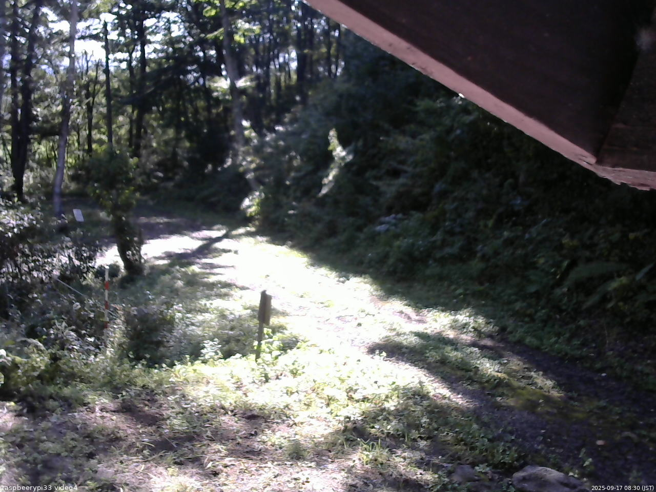 長野県菅平高原 ゆたか山荘 東側(坂下) 2025/09/17 08:30