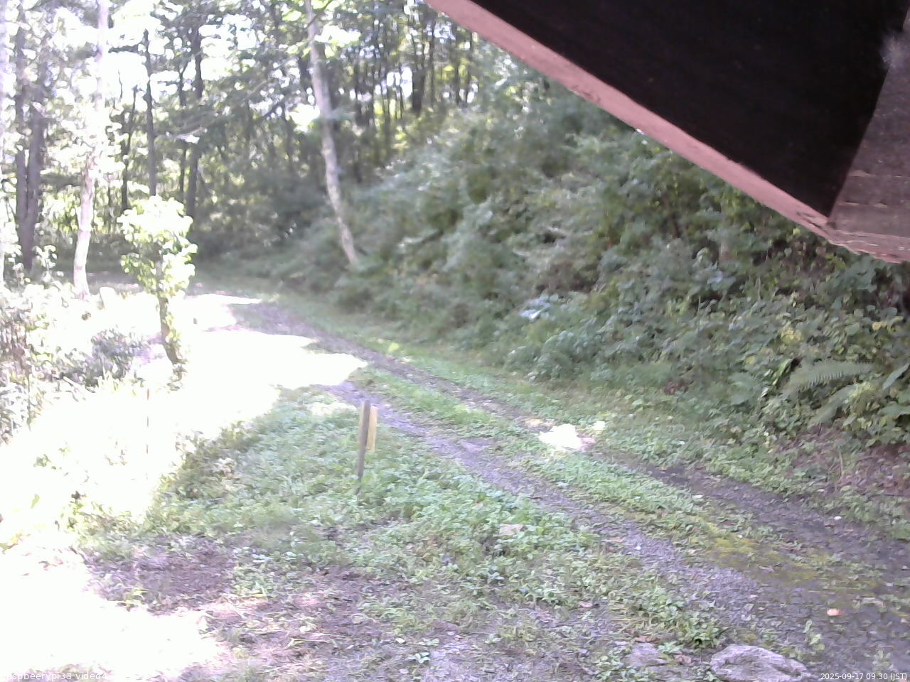 長野県菅平高原 ゆたか山荘 東側(坂下) 2025/09/17 09:30