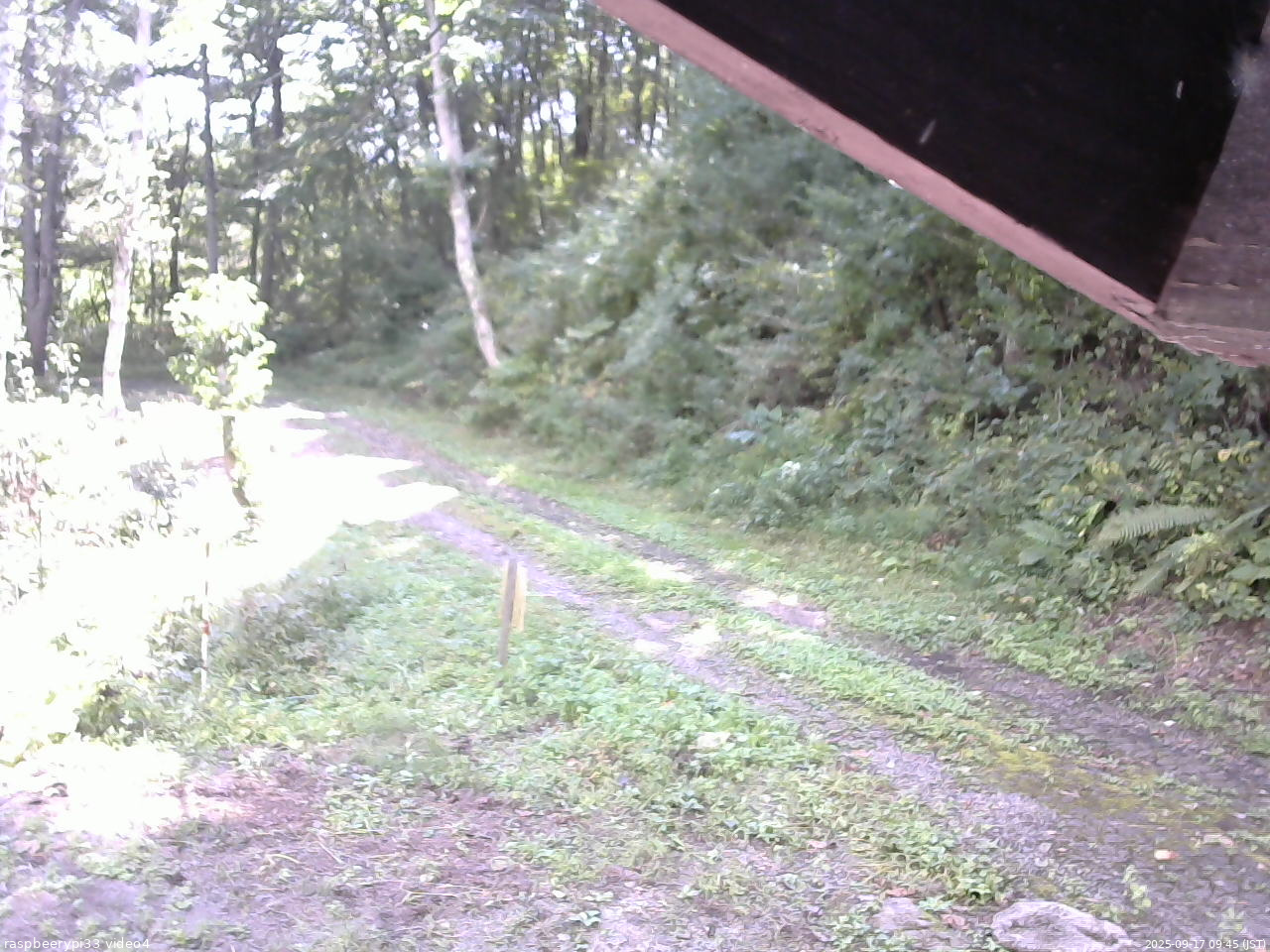 長野県菅平高原 ゆたか山荘 東側(坂下) 2025/09/17 09:45