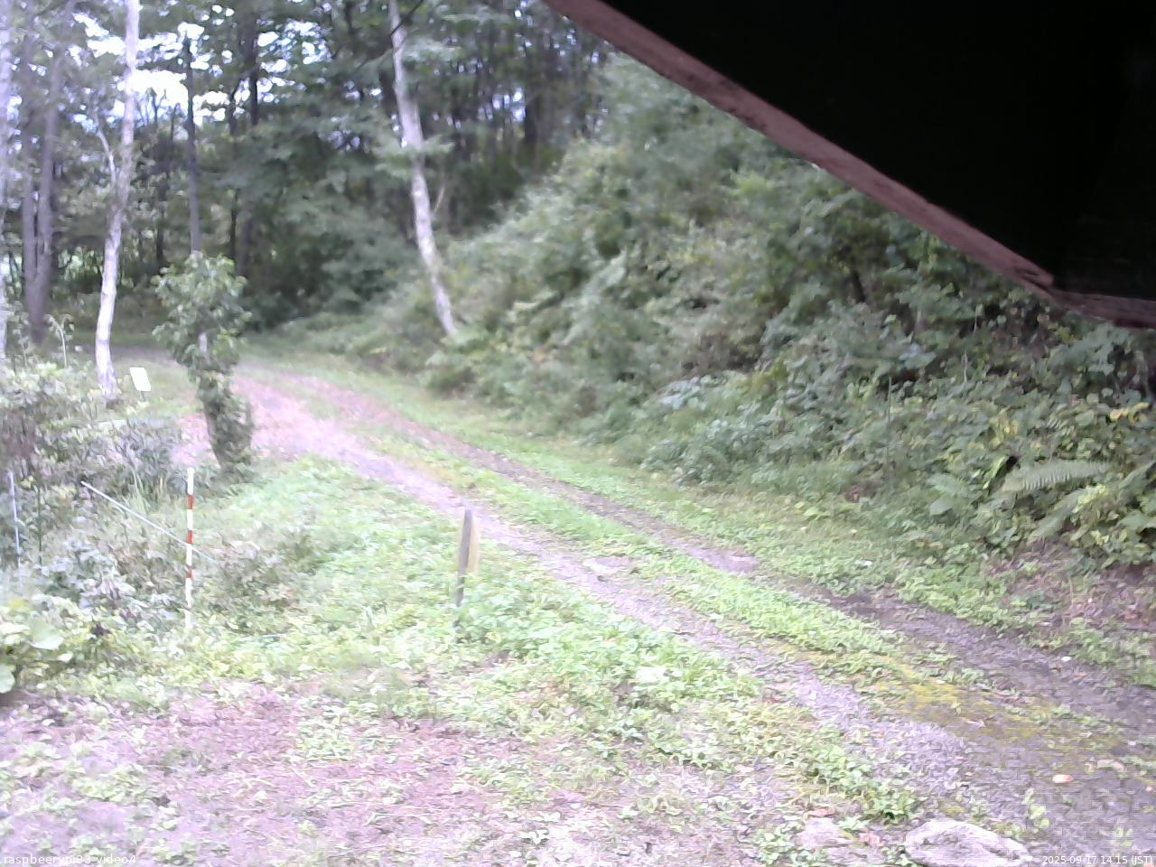 長野県菅平高原 ゆたか山荘 東側(坂下) 2025/09/17 14:15