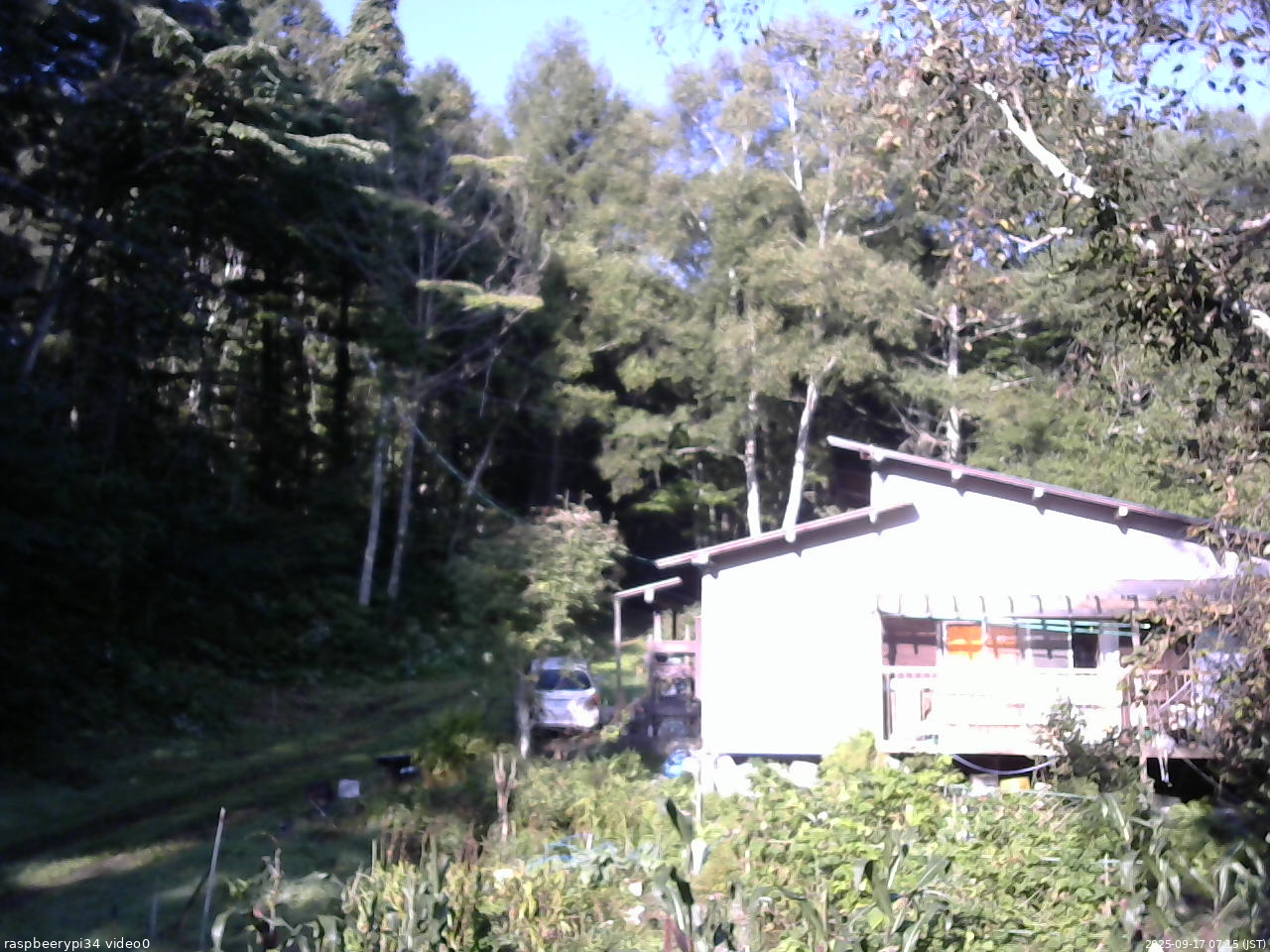 長野県菅平高原 ゆたか山荘 西側(坂上) 2025/09/17 07:15