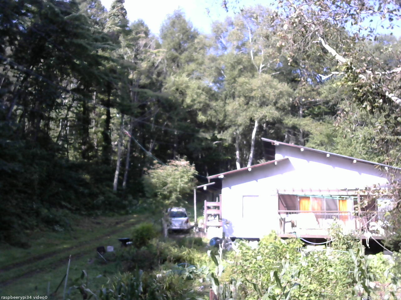 長野県菅平高原 ゆたか山荘 西側(坂上) 2025/09/17 08:45