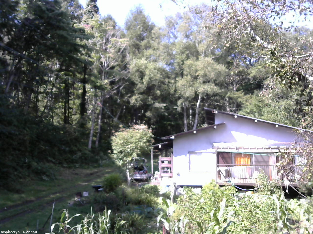 長野県菅平高原 ゆたか山荘 西側(坂上) 2025/09/17 10:00