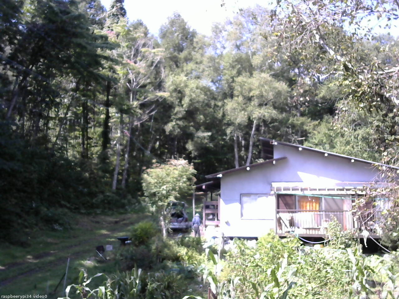 長野県菅平高原 ゆたか山荘 西側(坂上) 2025/09/17 10:15