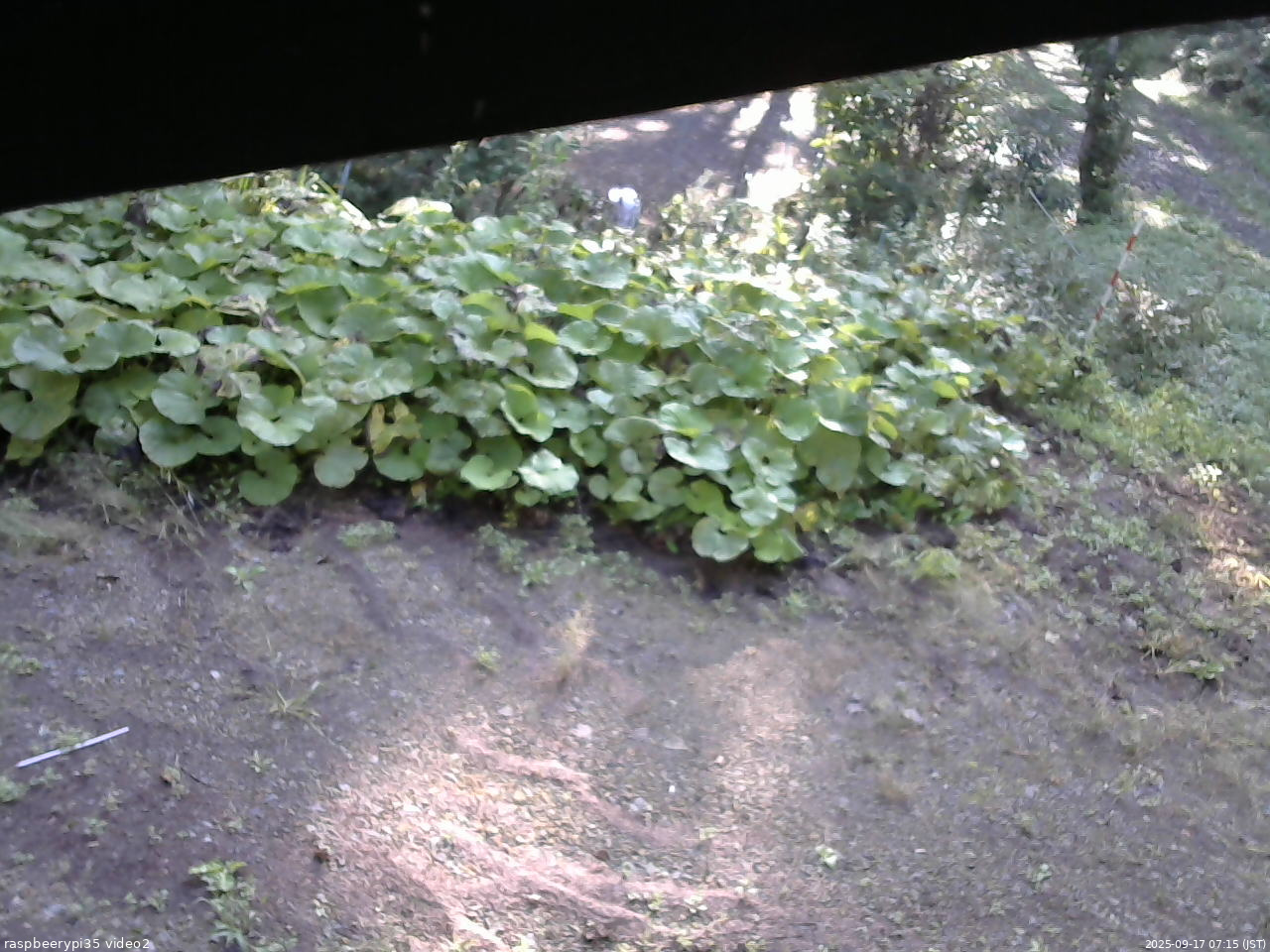 長野県菅平高原 ゆたか山荘 駐車場 2025/09/17 07:15