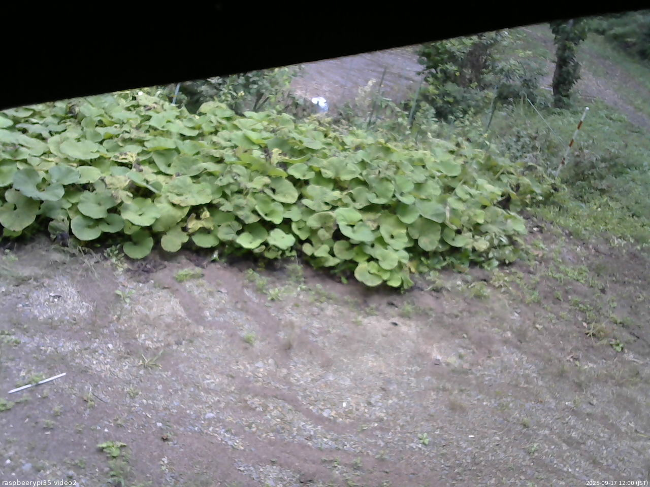 長野県菅平高原 ゆたか山荘 駐車場 2025/09/17 12:00