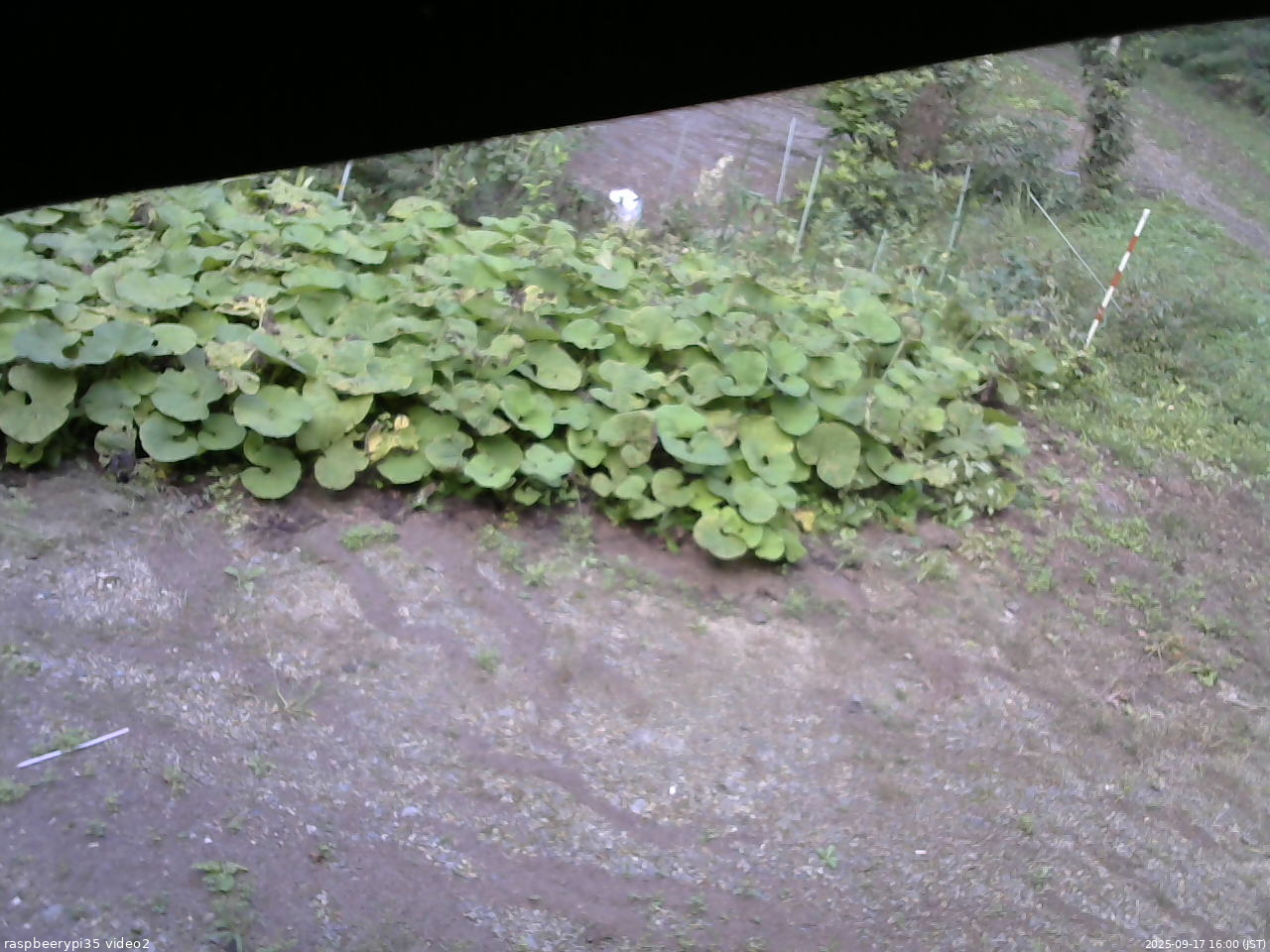 長野県菅平高原 ゆたか山荘 駐車場 2025/09/17 16:00
