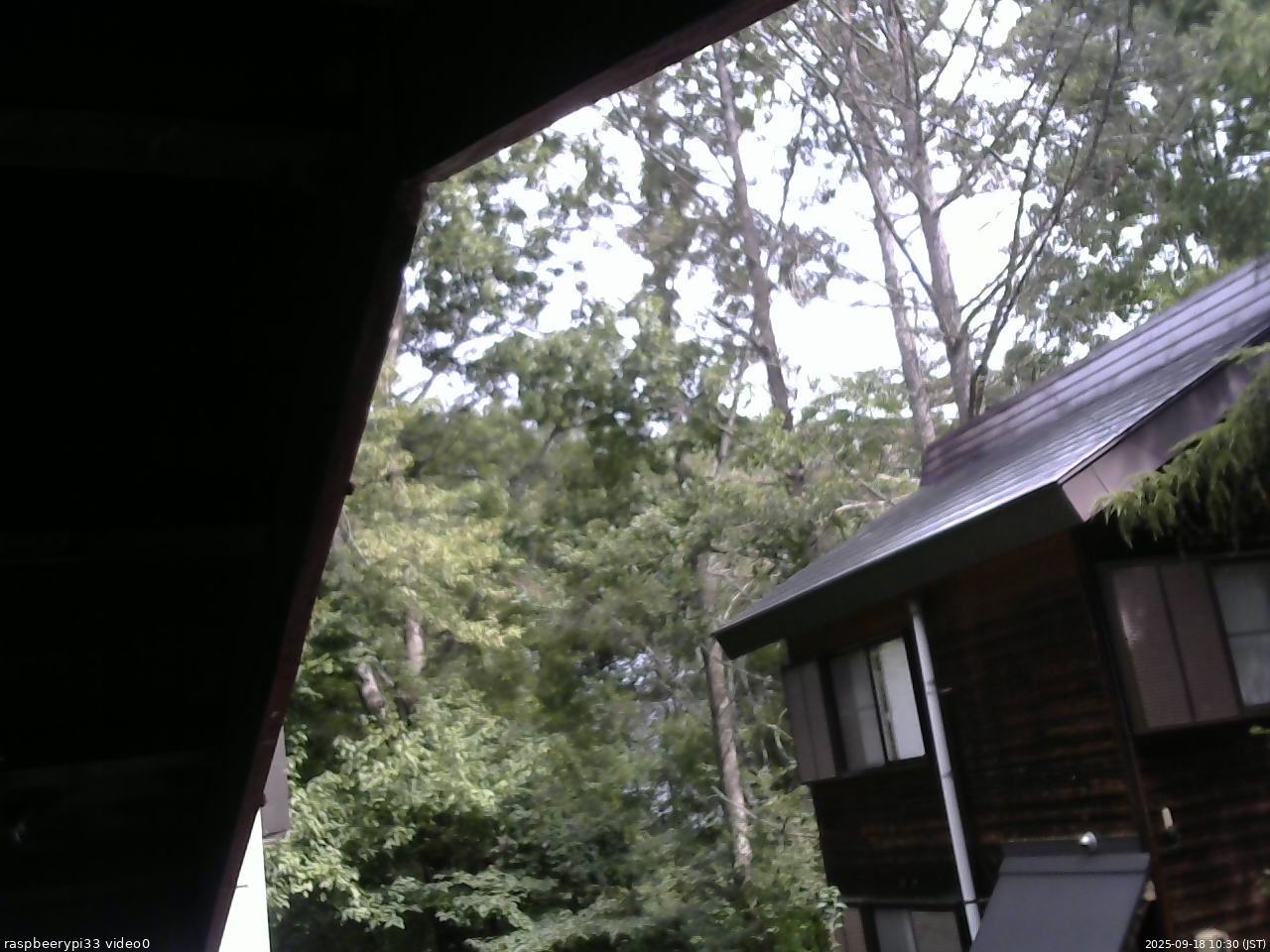 長野県菅平高原 ゆたか山荘 北側 2025/09/18 10:30