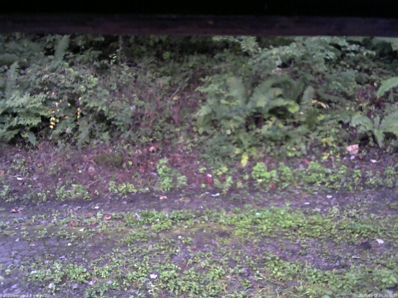長野県菅平高原 ゆたか山荘 南側 2025/09/18 05:30