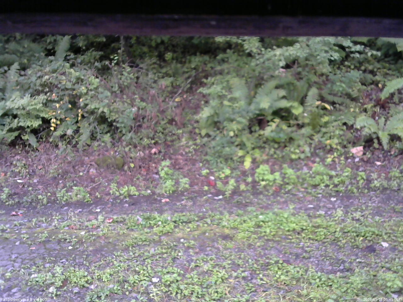 長野県菅平高原 ゆたか山荘 南側 2025/09/18 05:45