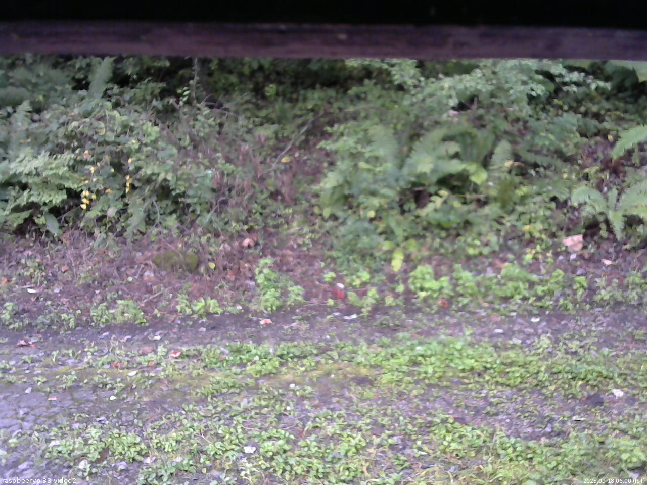 長野県菅平高原 ゆたか山荘 南側 2025/09/18 06:00