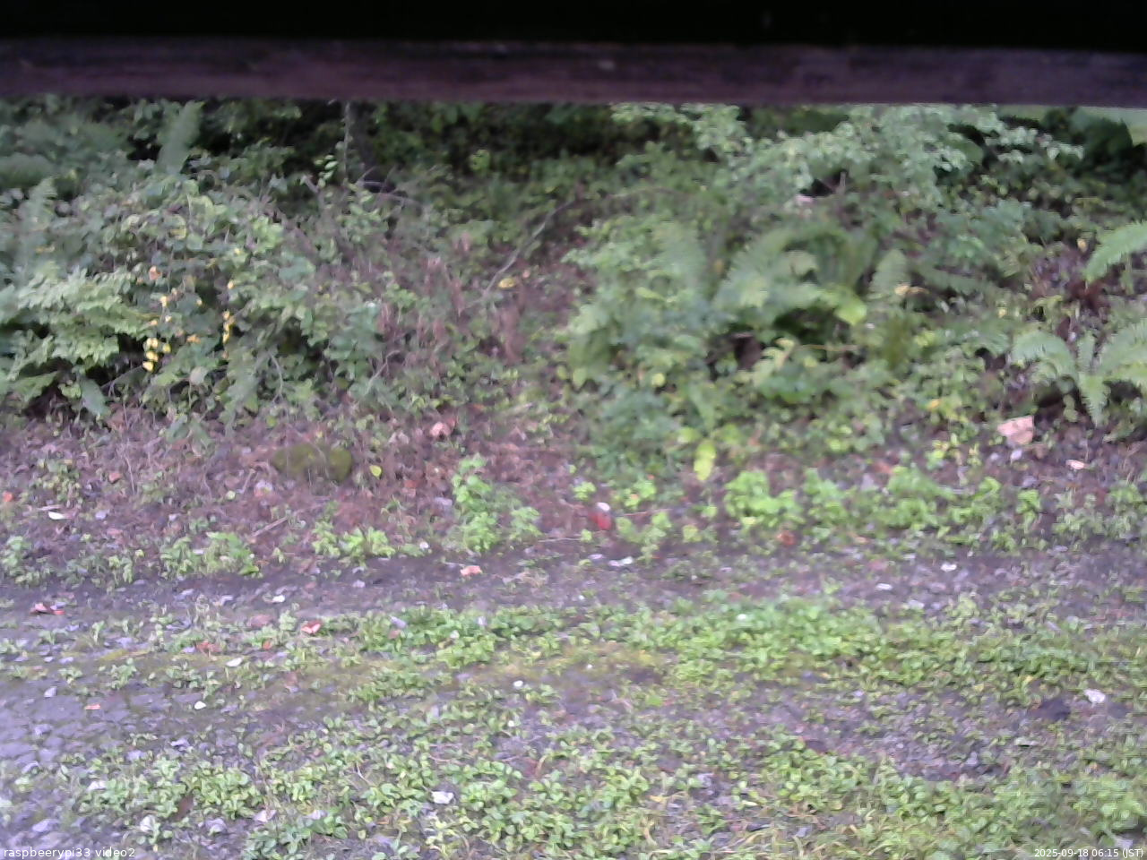 長野県菅平高原 ゆたか山荘 南側 2025/09/18 06:15