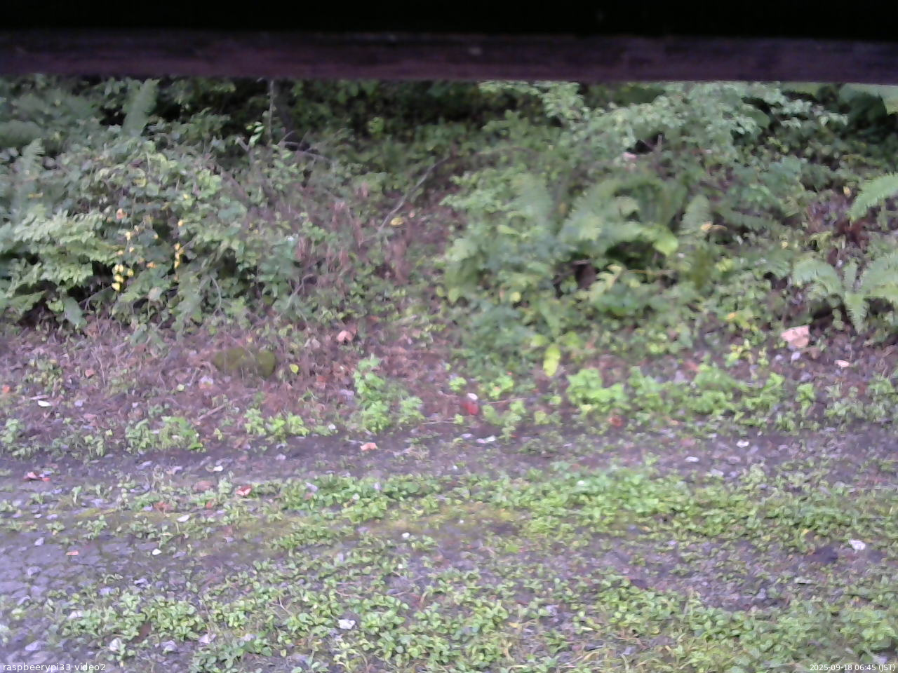 長野県菅平高原 ゆたか山荘 南側 2025/09/18 06:45