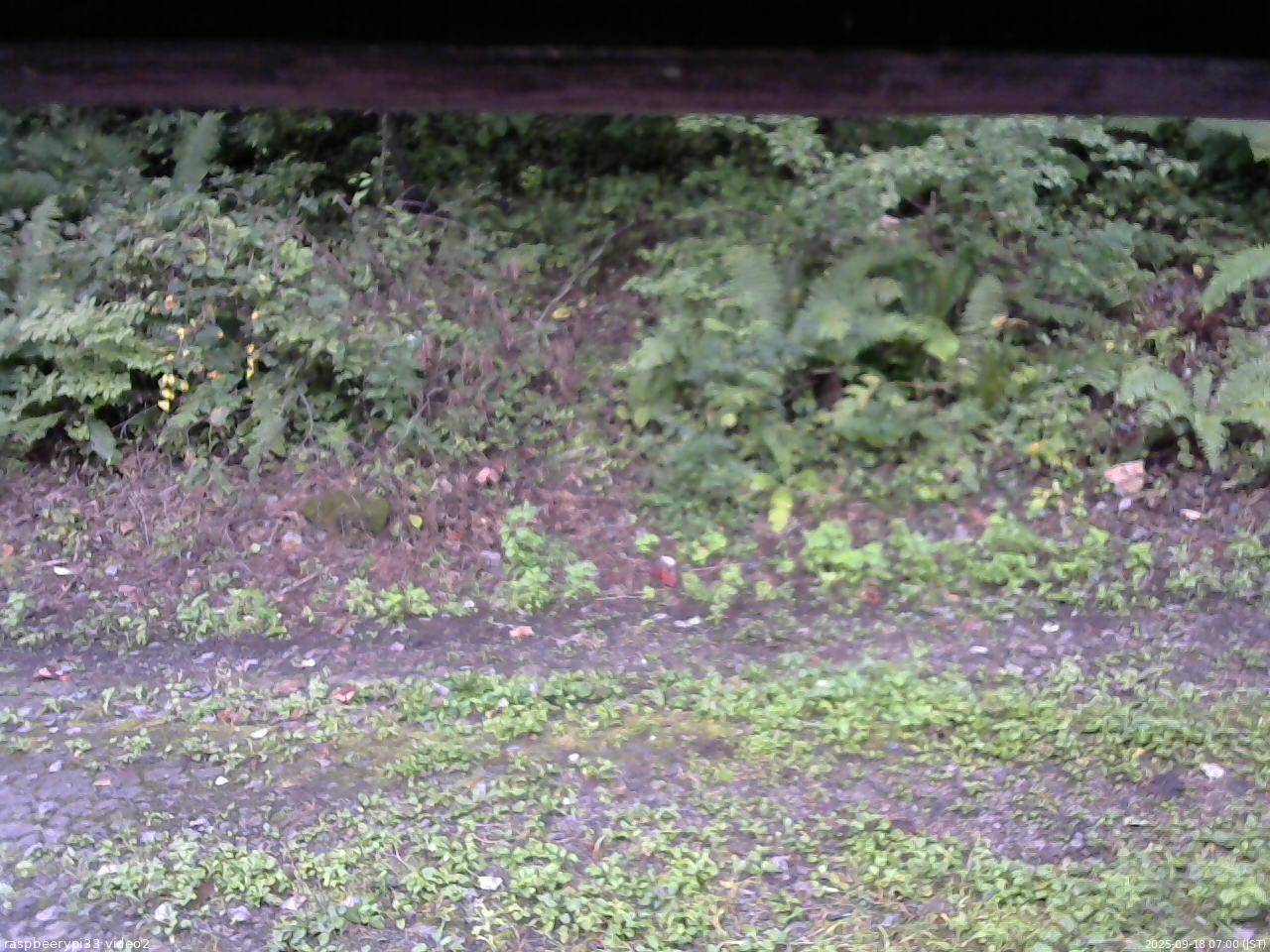 長野県菅平高原 ゆたか山荘 南側 2025/09/18 07:00