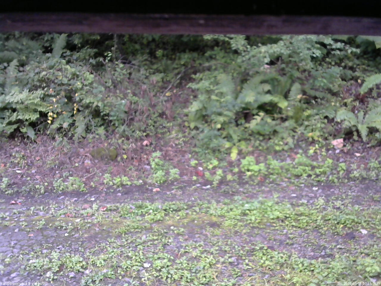 長野県菅平高原 ゆたか山荘 南側 2025/09/18 07:15