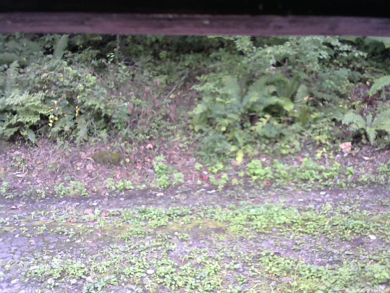 長野県菅平高原 ゆたか山荘 南側 2025/09/18 08:45