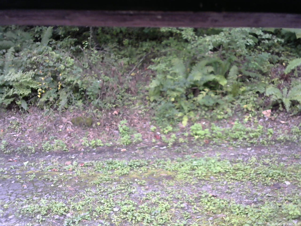 長野県菅平高原 ゆたか山荘 南側 2025/09/18 09:15
