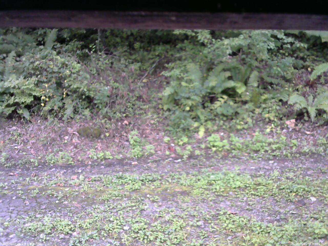 長野県菅平高原 ゆたか山荘 南側 2025/09/18 09:45