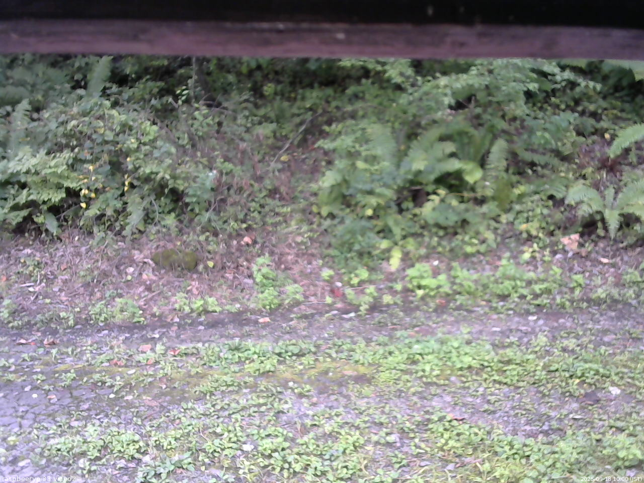 長野県菅平高原 ゆたか山荘 南側 2025/09/18 10:00