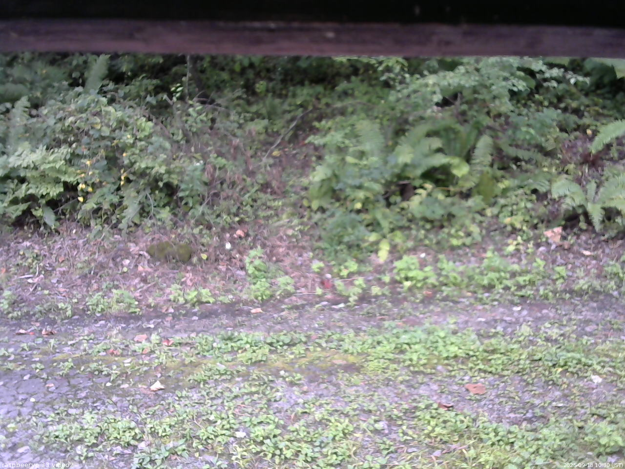 長野県菅平高原 ゆたか山荘 南側 2025/09/18 10:30