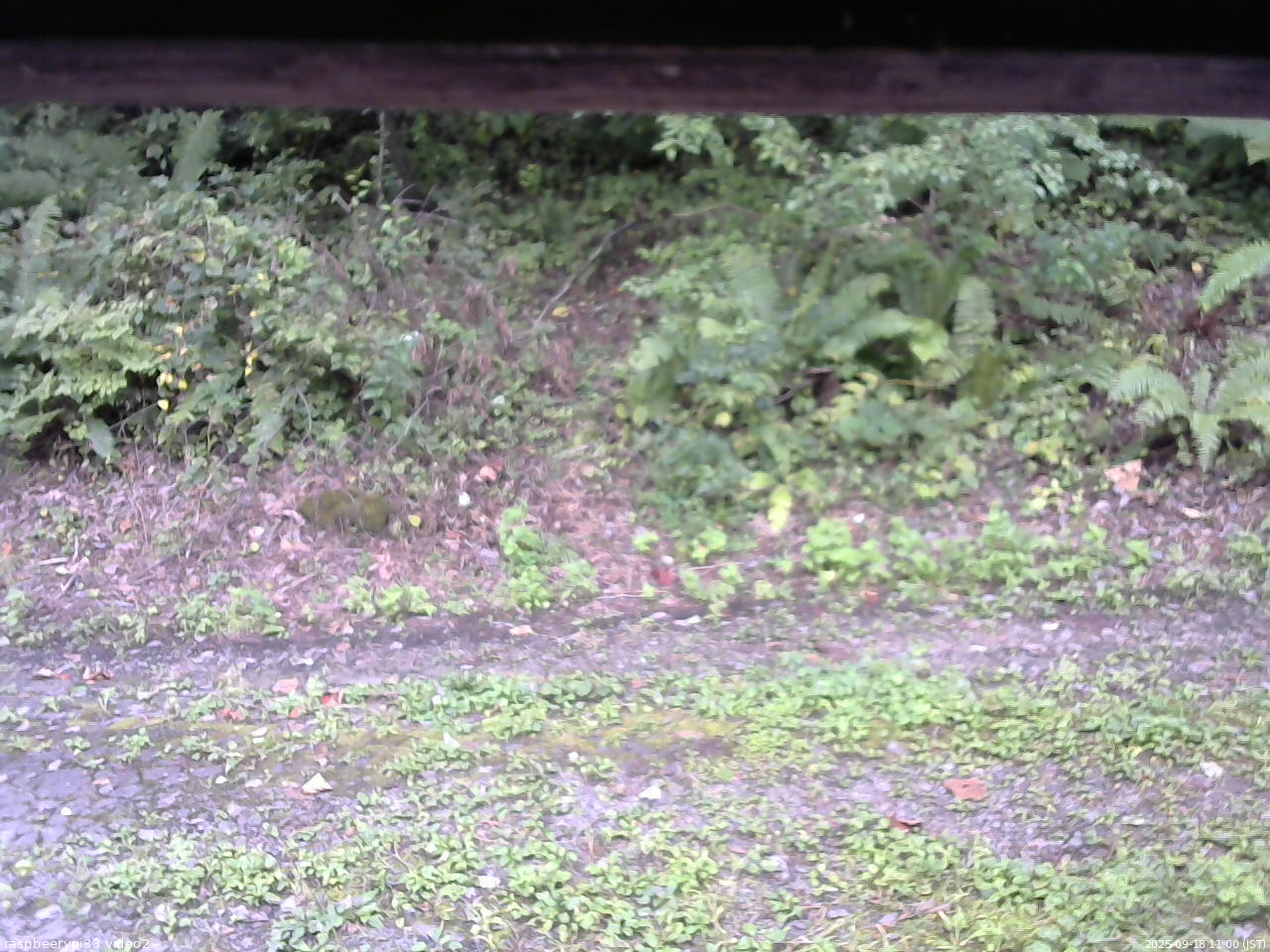 長野県菅平高原 ゆたか山荘 南側 2025/09/18 11:00