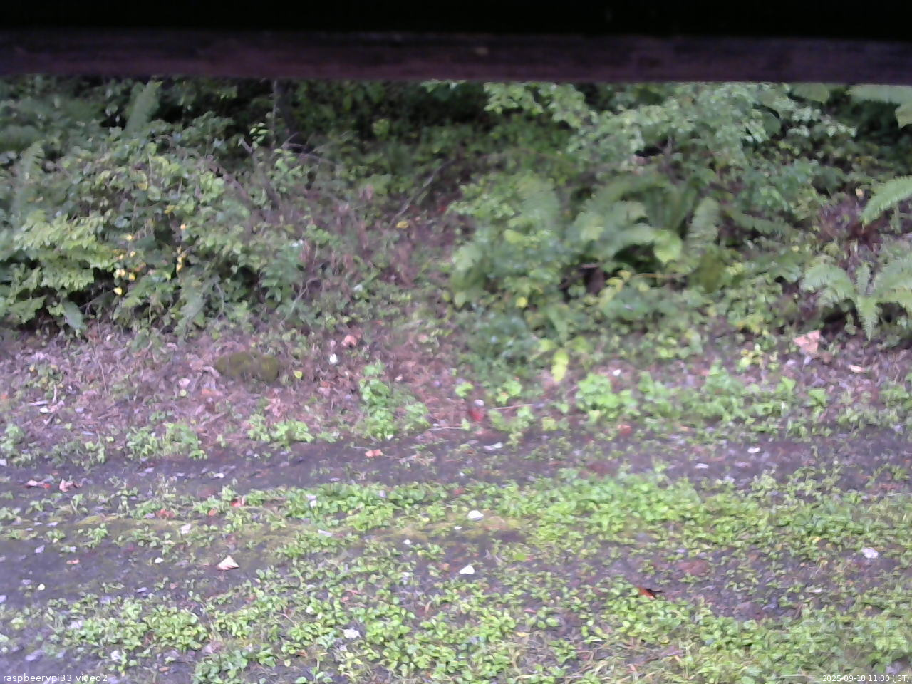 長野県菅平高原 ゆたか山荘 南側 2025/09/18 11:30