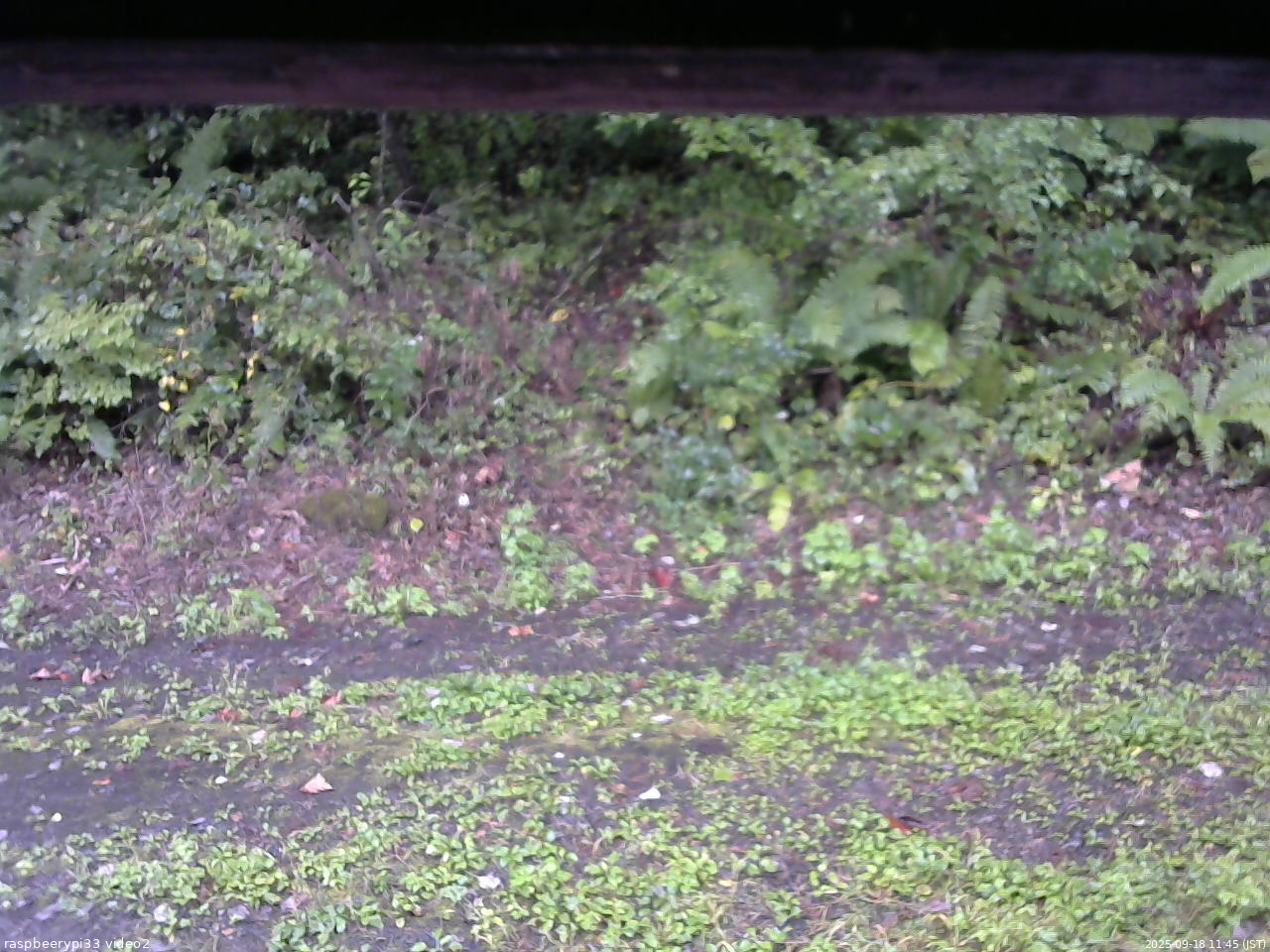 長野県菅平高原 ゆたか山荘 南側 2025/09/18 11:45