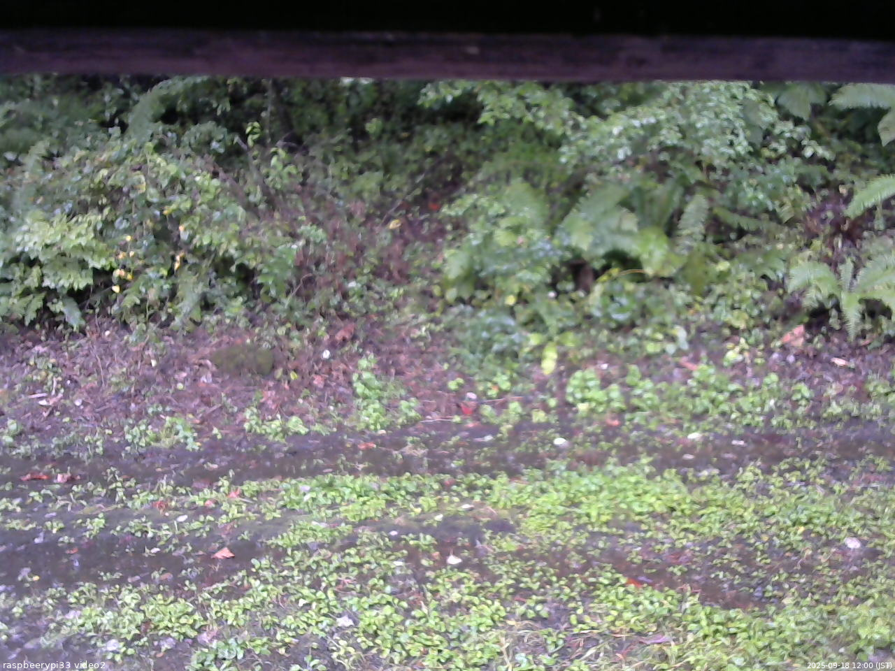 長野県菅平高原 ゆたか山荘 南側 2025/09/18 12:00