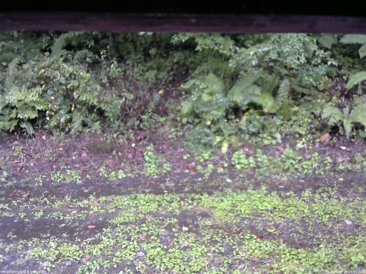 長野県菅平高原 ゆたか山荘 南側 2025/09/18 13:00