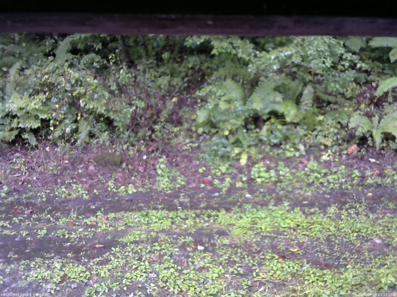 長野県菅平高原 ゆたか山荘 南側 2025/09/18 13:15